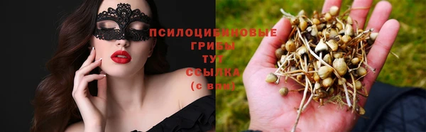 гашик Алзамай