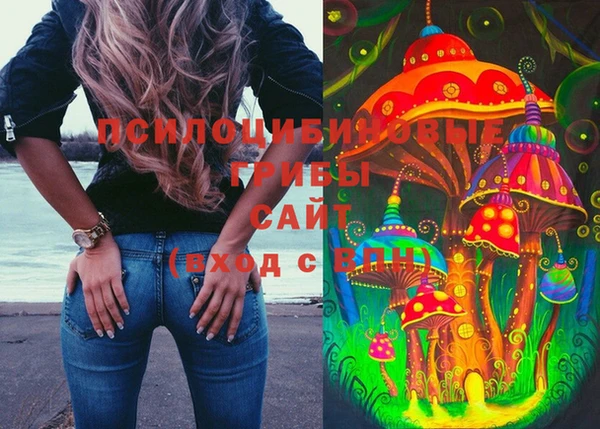 гашик Алзамай