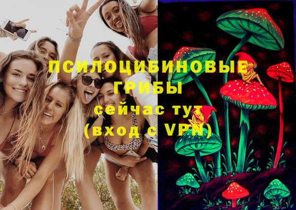 гашик Алзамай