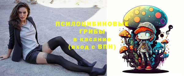 гашик Алзамай