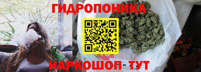 ECSTASY Можга