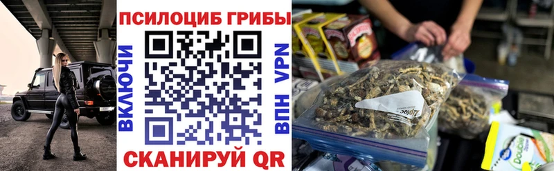 МЕГА ONION цены наркотик Чусовой Псилоцибиновые грибы прущие грибы