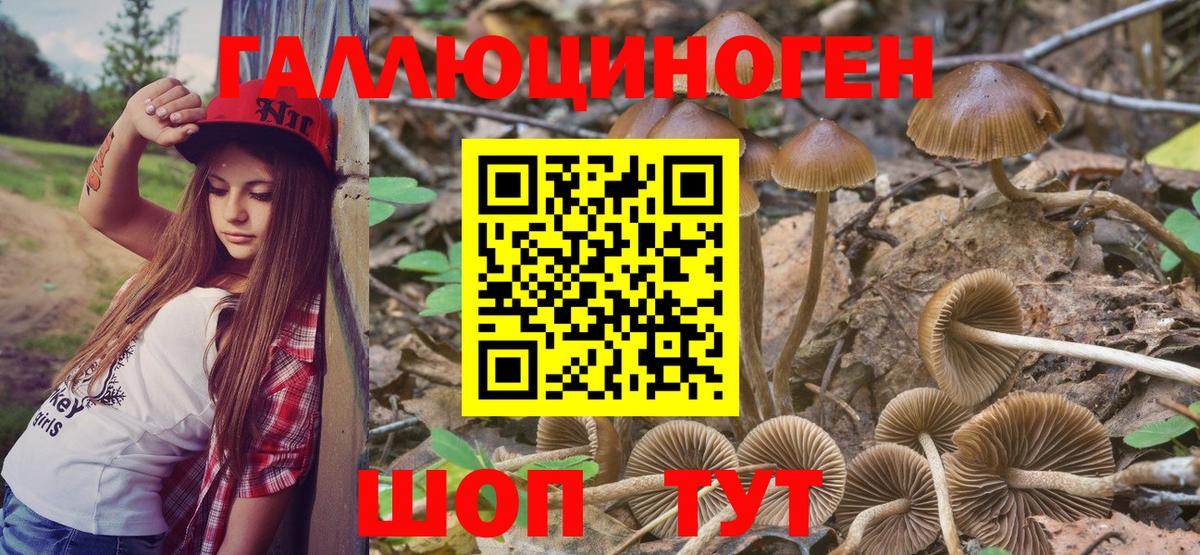 Псилоцибиновые грибы мицелий Чусовой