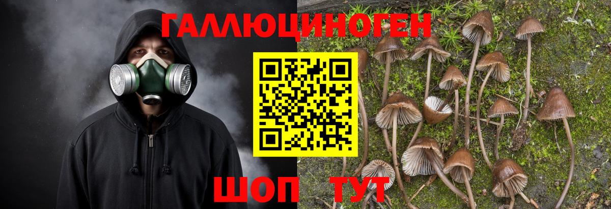 Галлюциногенные грибы Cubensis  Вход с VPN  Чусовой  Галлюциногенные грибы Psilocybine cubensis 
