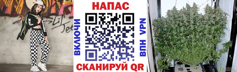 цены наркотик Чусовой mega как зайти Конопля индика
